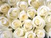 wedding-1